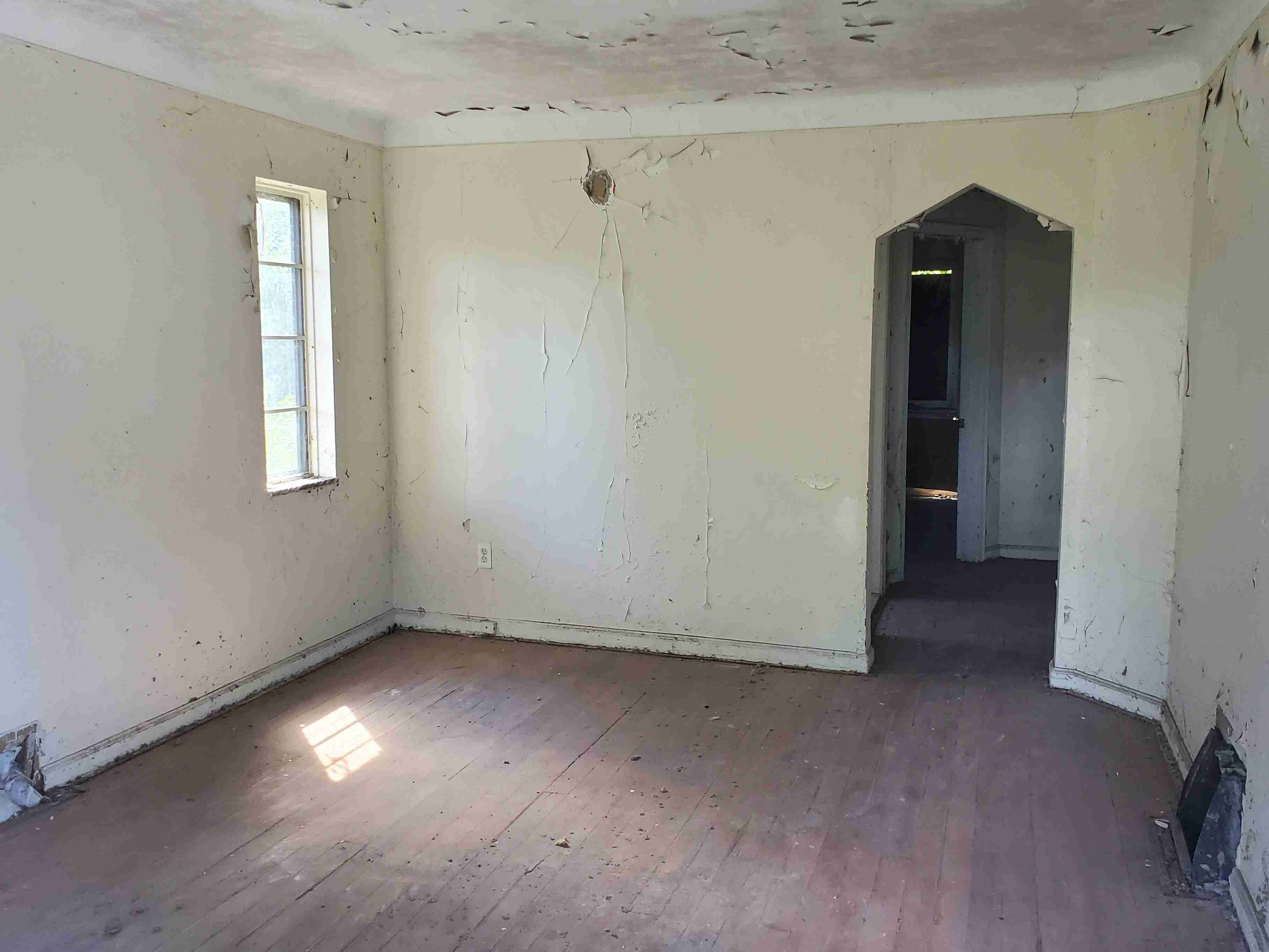 20200812_150757 (2).jpg